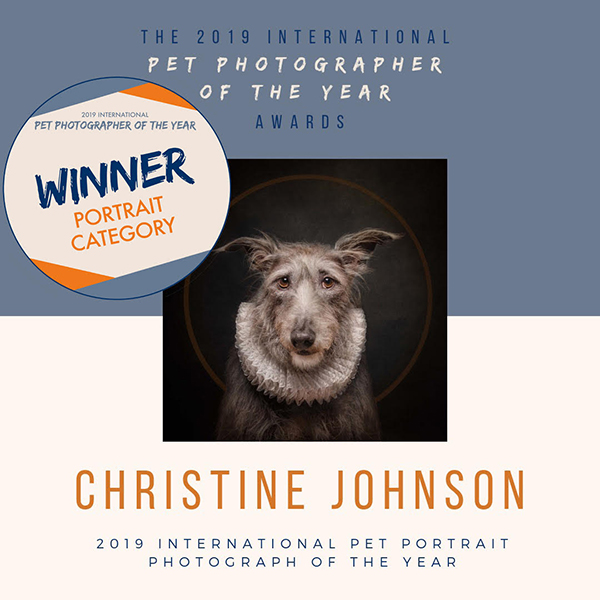 CWPetwinner1